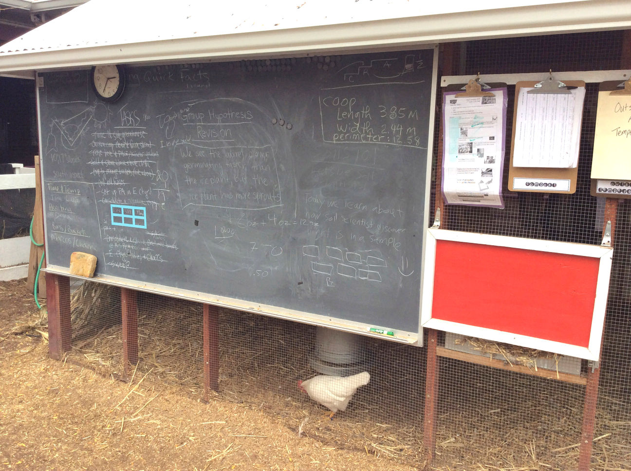 A deluxe chicken coop